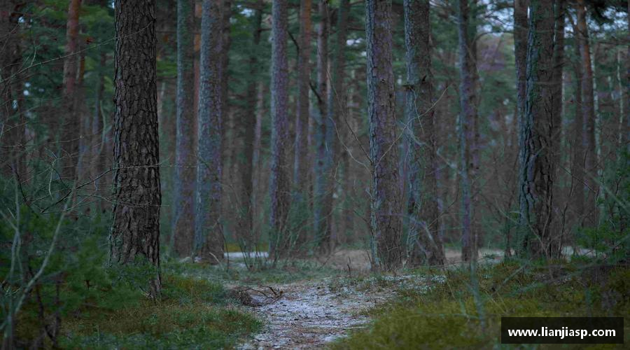 永不言败，英雄始终在路上！